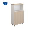 TỦ TÀI LIỆU NTV NTV1260SD
