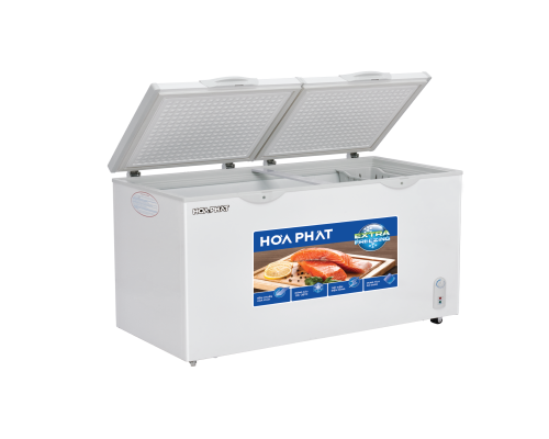 Tủ đông Hòa Phát HPF BD6245 245 lít